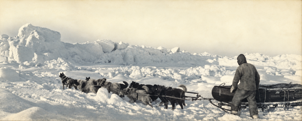 Санная партия экспедиции Энтони Фиалы на 82° с. ш., март 1905 г.